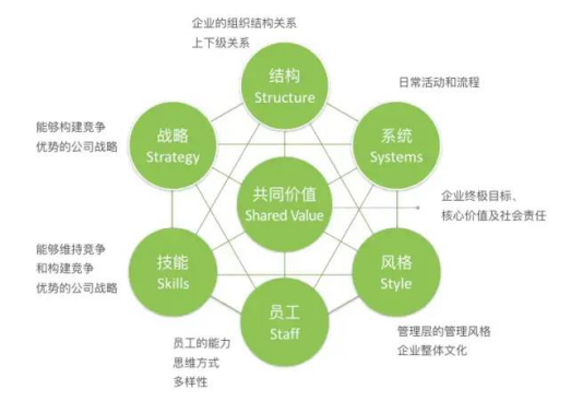 麥肯錫3.png